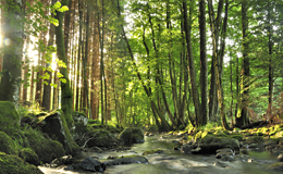 Verantwortung für unsere Umwelt